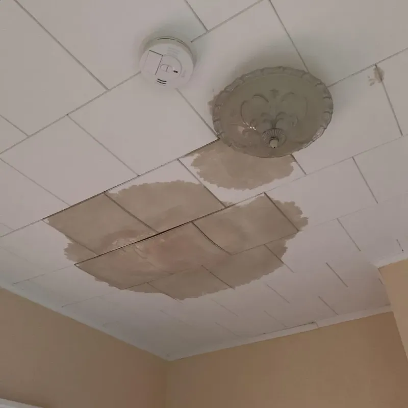 Ceiling Water Damage Repair in Valley, NE