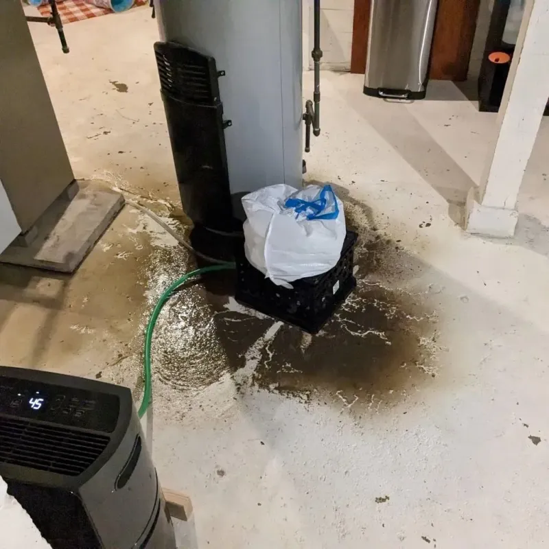 Sewage Backup Cleanup Service in Valley, NE